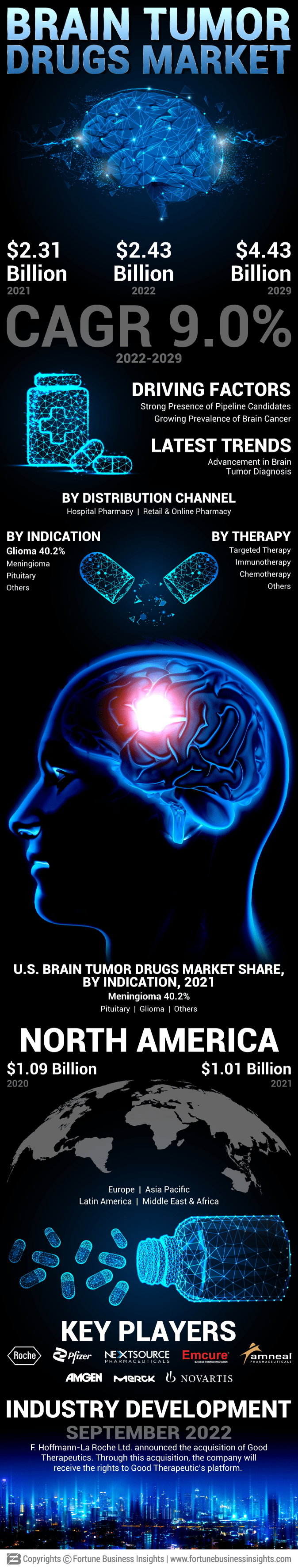 脑部肿瘤药物市场