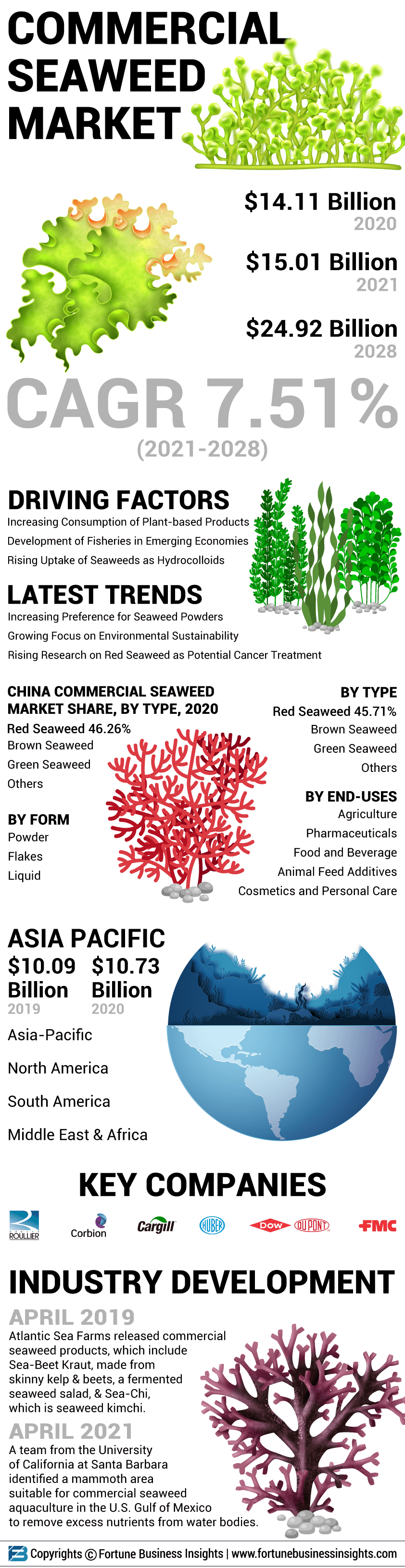 商业海藻市场