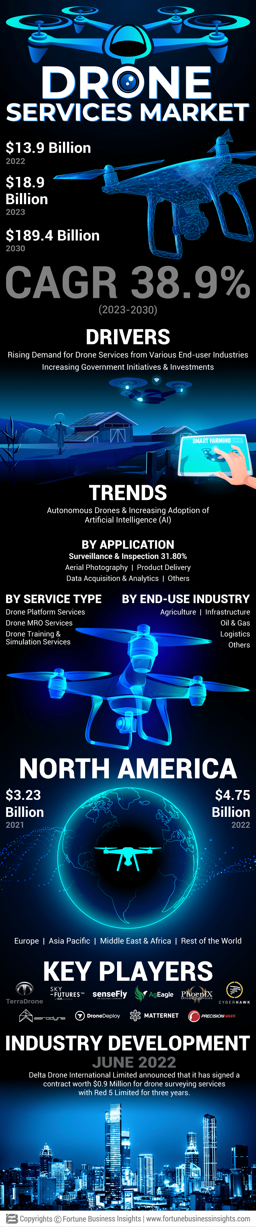 无人机服务市场