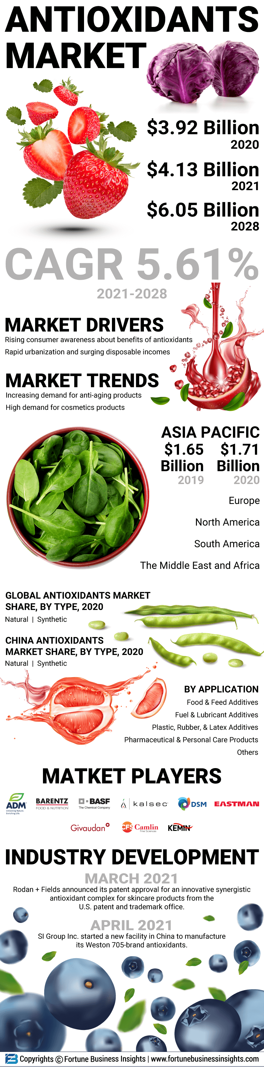 食品抗氧化剂的市场