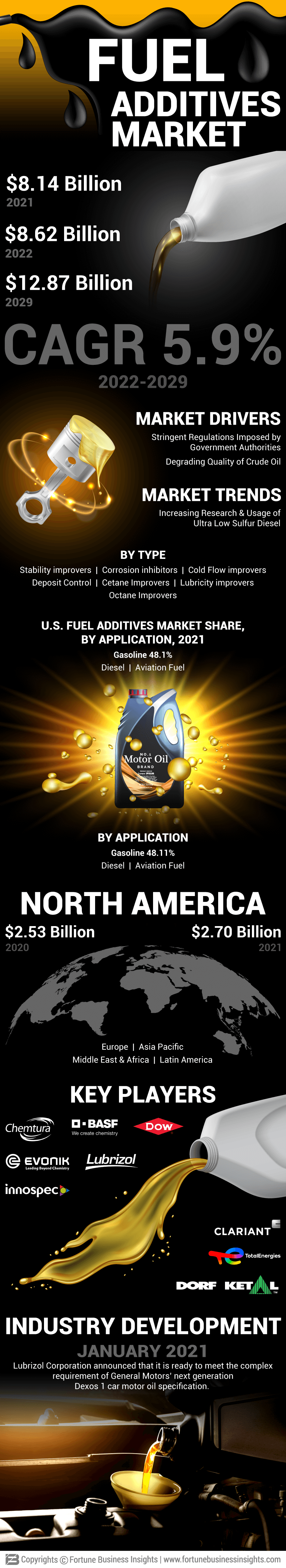 燃料添加剂市场