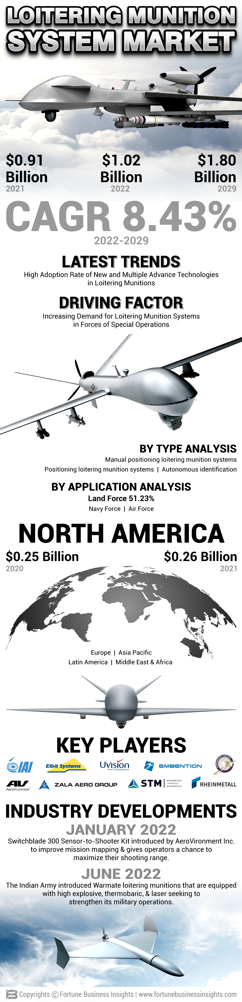 闲逛弹药系统市场