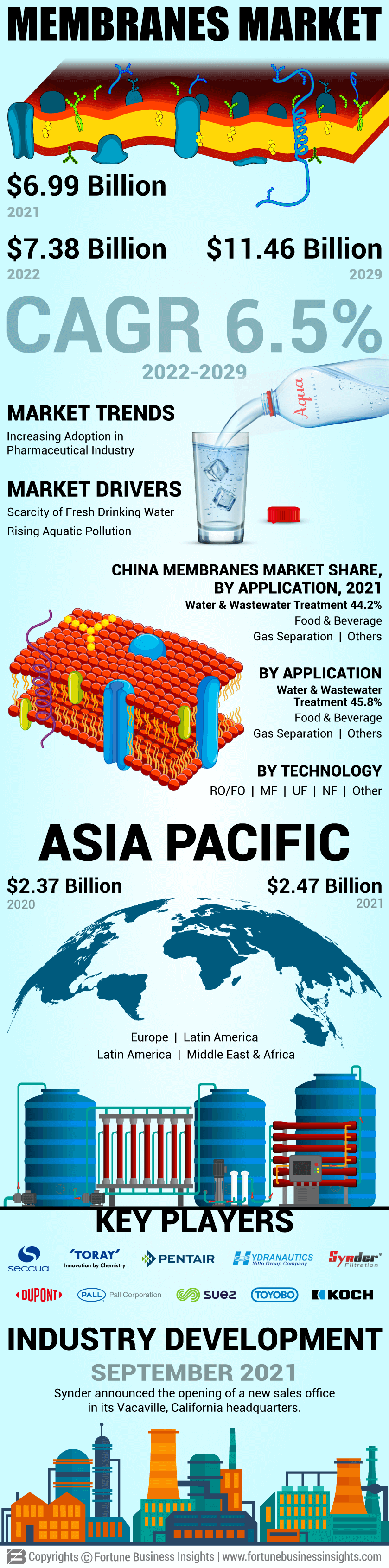 膜市场